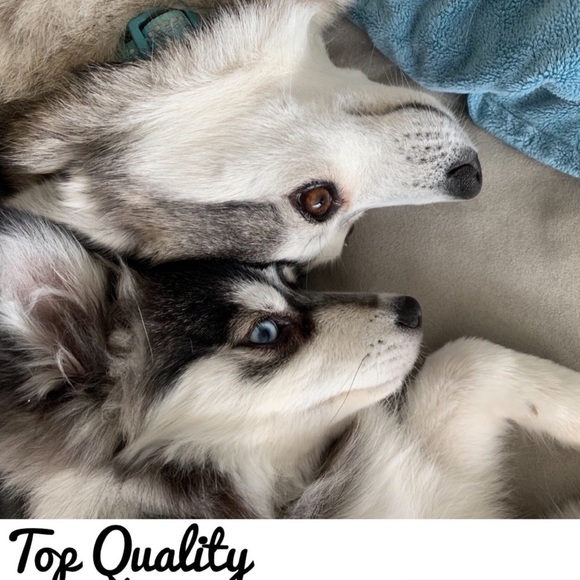 TOP Quality Items Only at Buy It Now Prices💃😎 - Picture 1 of 11